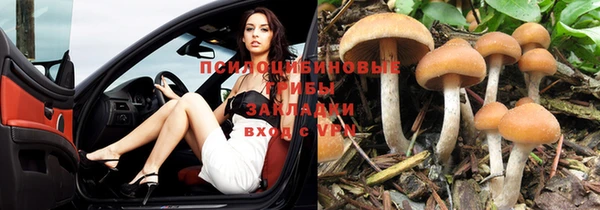 стафф Краснотурьинск
