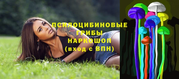 стафф Краснотурьинск