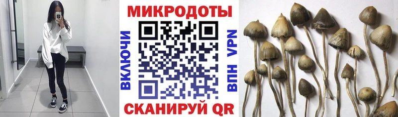 Галлюциногенные грибы мухоморы Купить где Зеленокумск