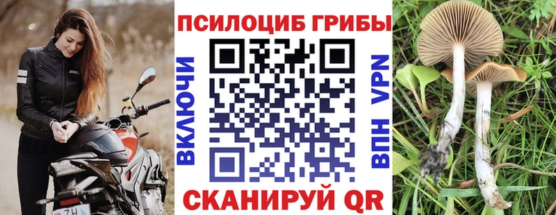 Псилоцибиновые грибы Psilocybine cubensis Зеленокумск