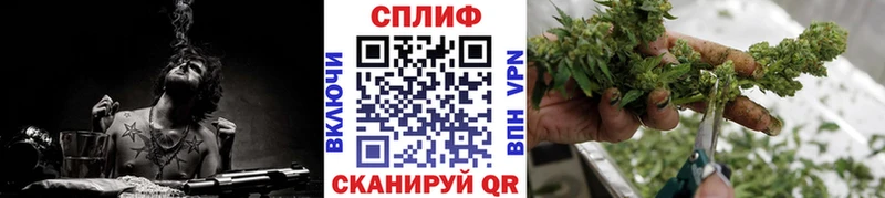 Каннабис ГИДРОПОН Купить где Зеленокумск